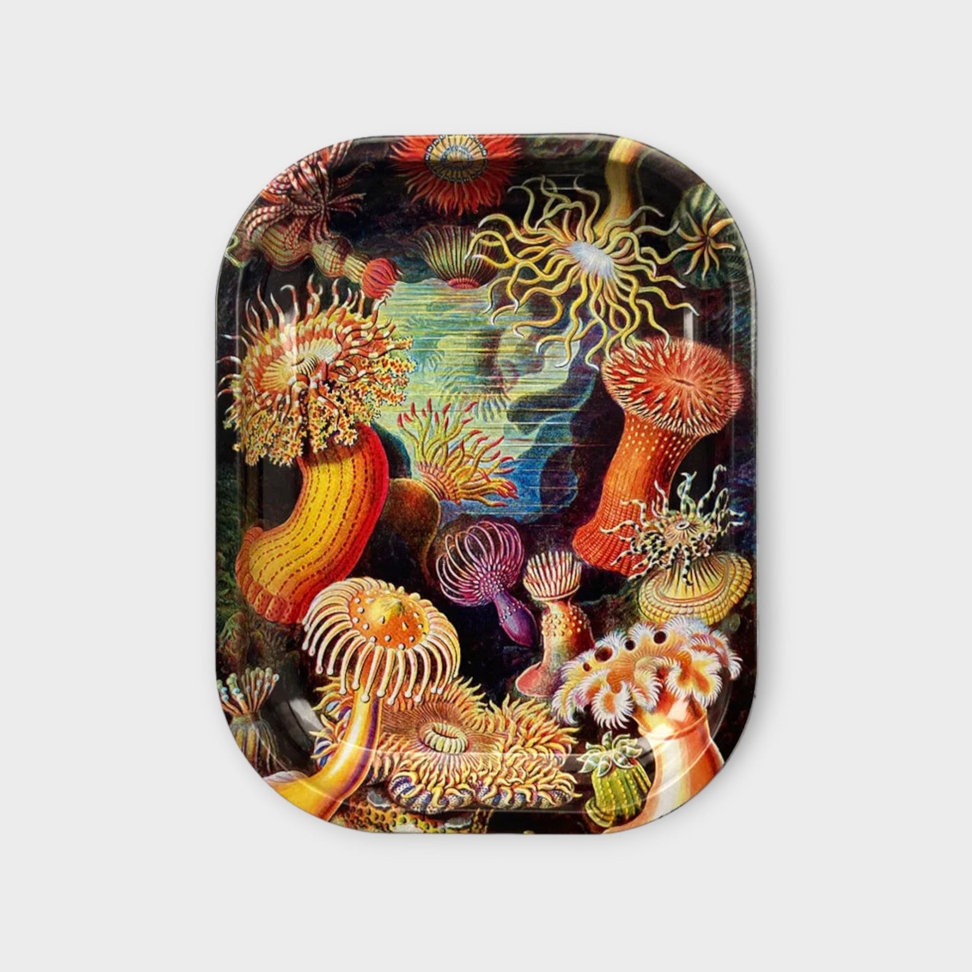 Fungi Rolling Tray